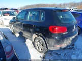 Volkswagen Tiguan 2.0 Tsi Comfortline/2.0 Tsi Highline/2.0 Tsi Trendline WVGJV7AX3DW551158 снимка