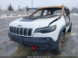 Jeep Cherokee Trailhawk 1C4PJMBXXLD539154 снимка