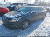 Hyundai Sonata 5NPE24AF7FH193415 снимка