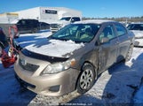 Toyota Corolla S/Le/Xle 2T1BU40E59C077630 снимка