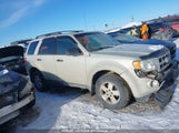 Ford Escape 1FMCU03G89KD12798 снимка