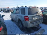 Ford Escape 1FMCU03G89KD12798 fotografie