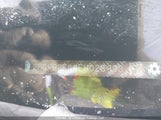 Honda Civic Lx 2HGFB2F44EH028933 снимка