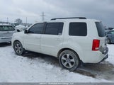 Honda Pilot Ex-L 5FNYF4H50EB502508 снимка