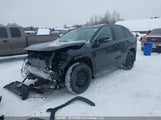 Toyota Rav4 2T3R1RFV3SC572904 снимка