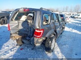 Ford Escape Xlt 1FMCU0D78AKB49816 fotografie