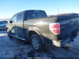 Ford F-150 Xlt 1FTFW1EF2EFA02400 снимка