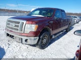 Ford F-150 1FTFW1EF1EKD86841 снимка