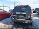 Ford Escape Xlt 1FMCU93719KA41331 снимка