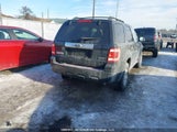 Ford Escape Xlt 1FMCU93719KA41331 снимка