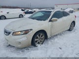 Honda Accord Ex-L 1HGCS1B82BA800443 снимка