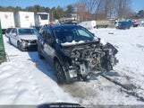 Subaru Crosstrek Outdoor JF2GTHSC4MH238289 photo