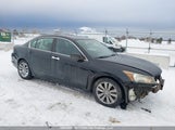 Honda Accord Exl 1HGCP3F8XCA800621 снимка