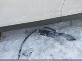 Volkswagen Taos Se 3VVUC7B25TM023129 photo