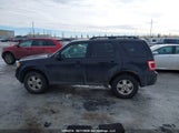 Ford Escape Xlt 1FMCU9DG3BKA00252 снимка