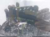 Chevrolet Cruze 1G1PG5SB6F7187470 снимка