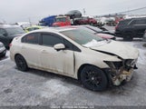 Honda Civic Si Si 2HGFB6E52FH201383 снимка