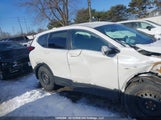 Honda Cr-V Lx 2HKRW1H29LH002161 photo