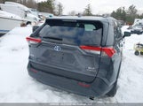Toyota Rav4 Xle/Woodland Edition 2T3RWRFV6PW163724 снимка