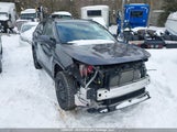Toyota Rav4 Xle/Woodland Edition 2T3RWRFV6PW163724 photo