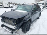 Toyota Rav4 Xle/Woodland Edition 2T3RWRFV6PW163724 photo