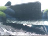 Honda Odyssey Exl 5FNRL5H68DB508275 снимка