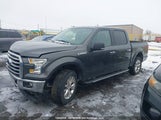 Ford F150 Supercrew 1FTEW1EF6GFA32482 снимка