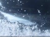 Honda Ridgeline Black Edition 5FPYK3F89HB503073 снимка