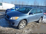 Toyota Rav4 2T3BF4DV1BW174761 fotografie