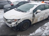 Honda Civic Lx 2HGFB2F43DH037993 снимка