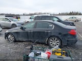 Hyundai Genesis 3.8L KMHGC4DE6BU126051 снимка