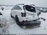 Kia Sorento 5XYRHDJF4SG384159 снимка