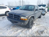 Dodge Dakota Sport 1D7HG32N93S149353 снимка