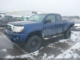Toyota Tacoma Base V6 5TEUU42N46Z291181 photo