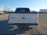 Ford F150 Supercrew 1FTFW1ET0EFB19835 снимка