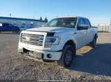 Ford F150 Supercrew 1FTFW1ET0EFB19835 снимка