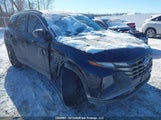 Hyundai Tucson Sel KM8JBCAE3NU026047 снимка