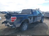 Ford F-150 Xlt 1FTEX1EM0BFD17912 снимка