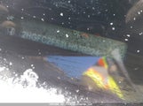 Honda Civic Lx 2HGFC2F53LH016324 снимка