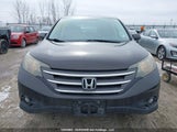 Honda Cr-V Exl 2HKRM4H73EH126688 снимка