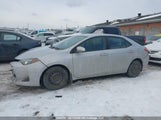 Toyota Corolla L/Le/Xle/Se/Xse 2T1BURHE4KC199497 снимка