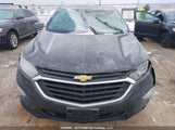Chevrolet Equinox Ls 2GNAXREV3J6186223 снимка