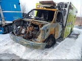 Chevrolet Express G3500 1HA3GSC73MN005274 снимка