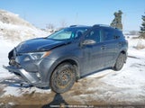 Toyota Rav4 Adventure/Xle 2T3RFREV7JW780347 fotografie