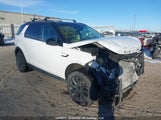 Land Rover Discovery Sport Se SALCP2FX5LH842212 fotografie