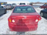 Toyota Corolla S/Le/Xle 2T1BU4EE6AC381689 снимка