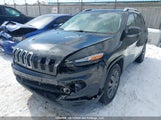 Jeep Cherokee Sport 1C4PJMAB6EW285553 снимка