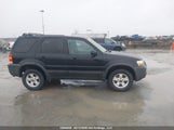 Ford Escape Xlt 1FMYU93167KA63744 снимка