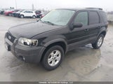 Ford Escape Xlt 1FMYU93167KA63744 снимка