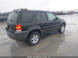 Ford Escape Xlt 1FMYU93167KA63744 снимка